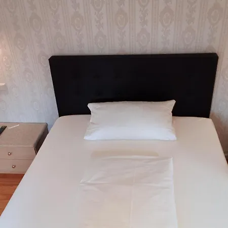 Blauer Bock Hotel 2*