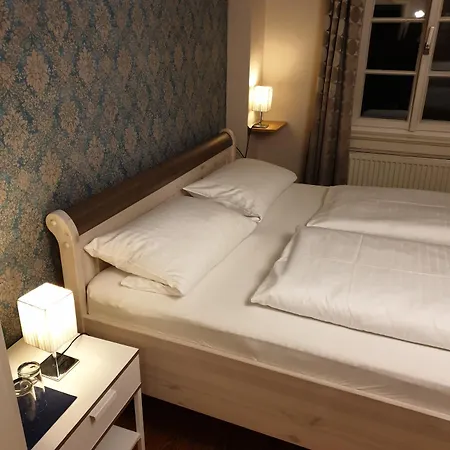 Hotel Blauer Bock 2*