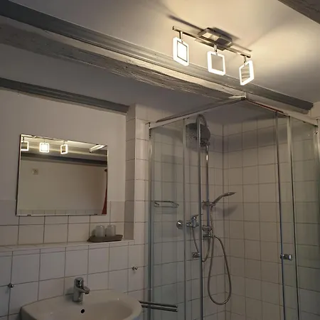 Hotel Blauer Bock 2*